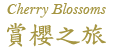 賞櫻之旅