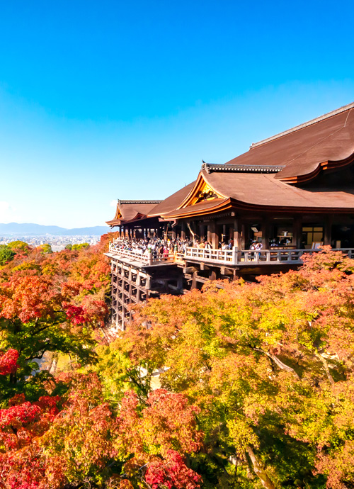 京都馥頌、天橋立離宮 星音、奈良萬豪 漣漪秋色古都尋楓七日