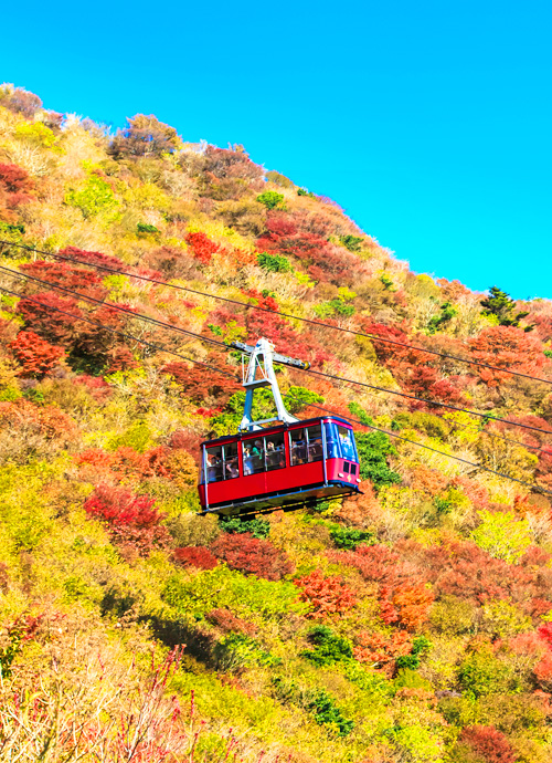 旅亭 半水盧、竹笛、福岡 九州 極上風華紅葉慢活六日