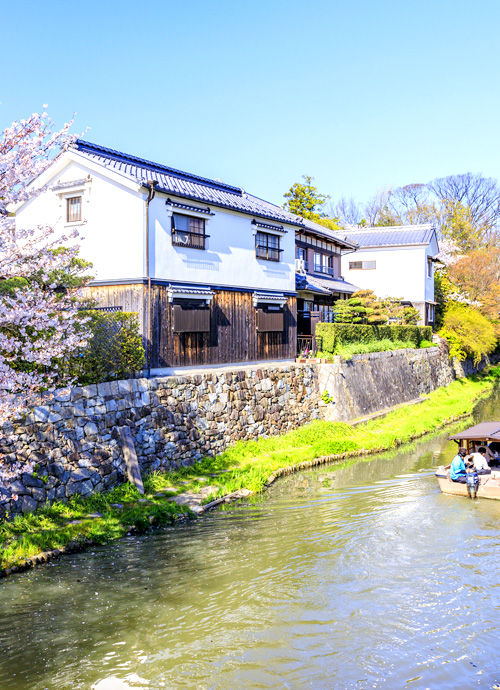 琵琶湖 綠水亭、星音、京都 近畿 水碧山青賞櫻七日